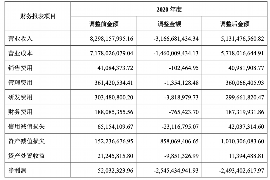 宁津专业讨债公司有哪些核心服务？